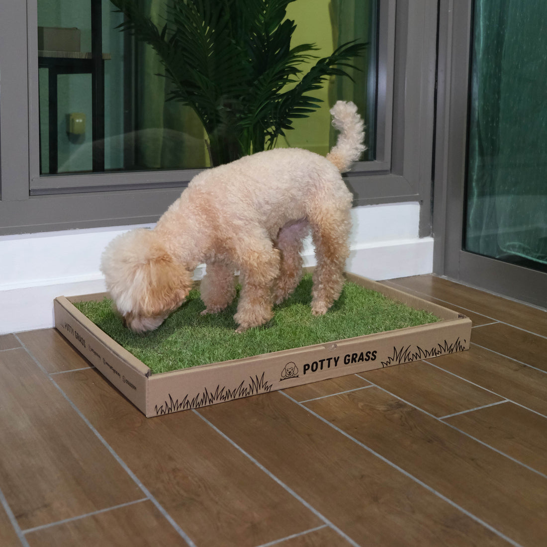 Fake Grass vs. Real Grass: Why Your Dog's Balcony Potty Smells
