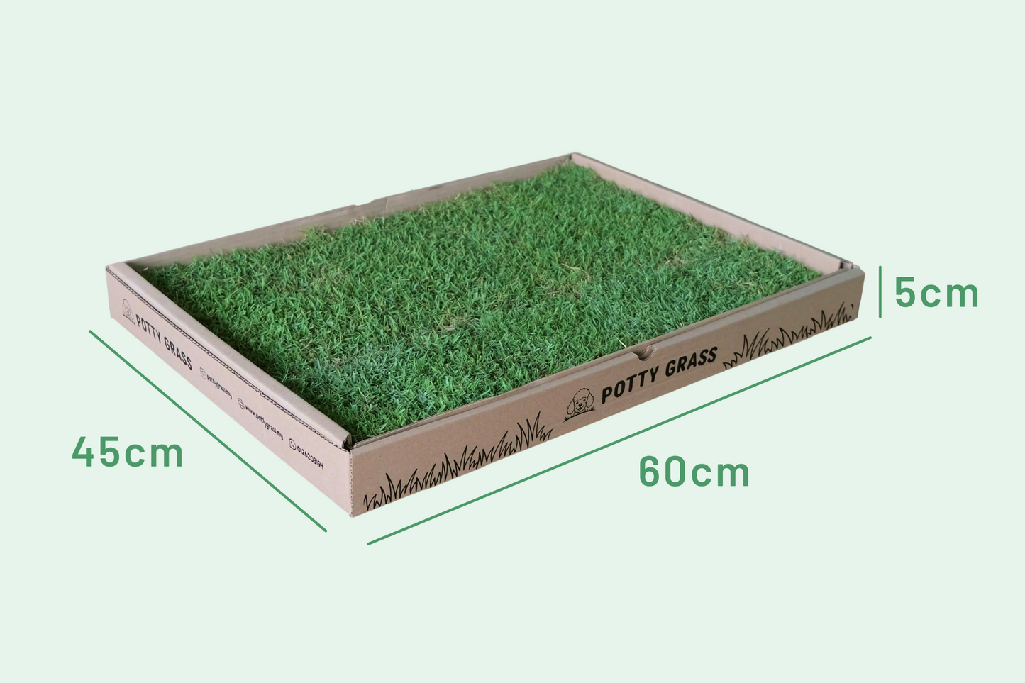 Fresh Real Grass For Cats