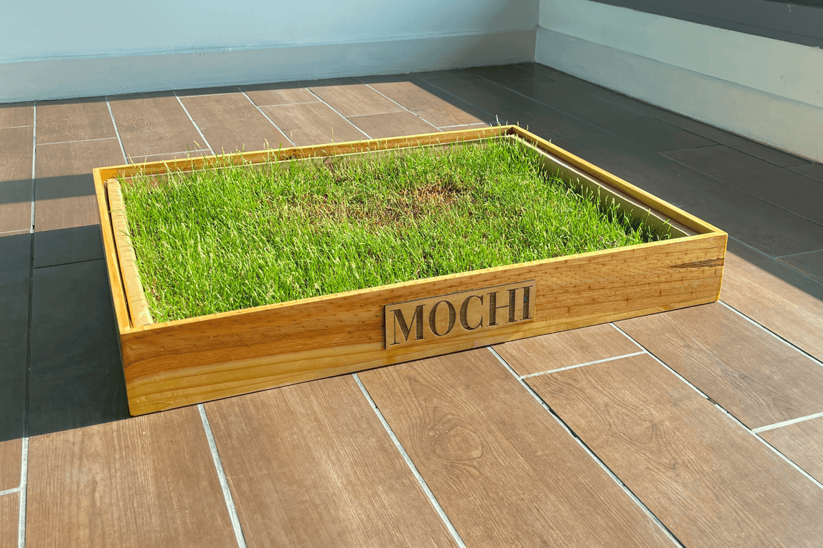 Wooden Frame Box for Potty Grass