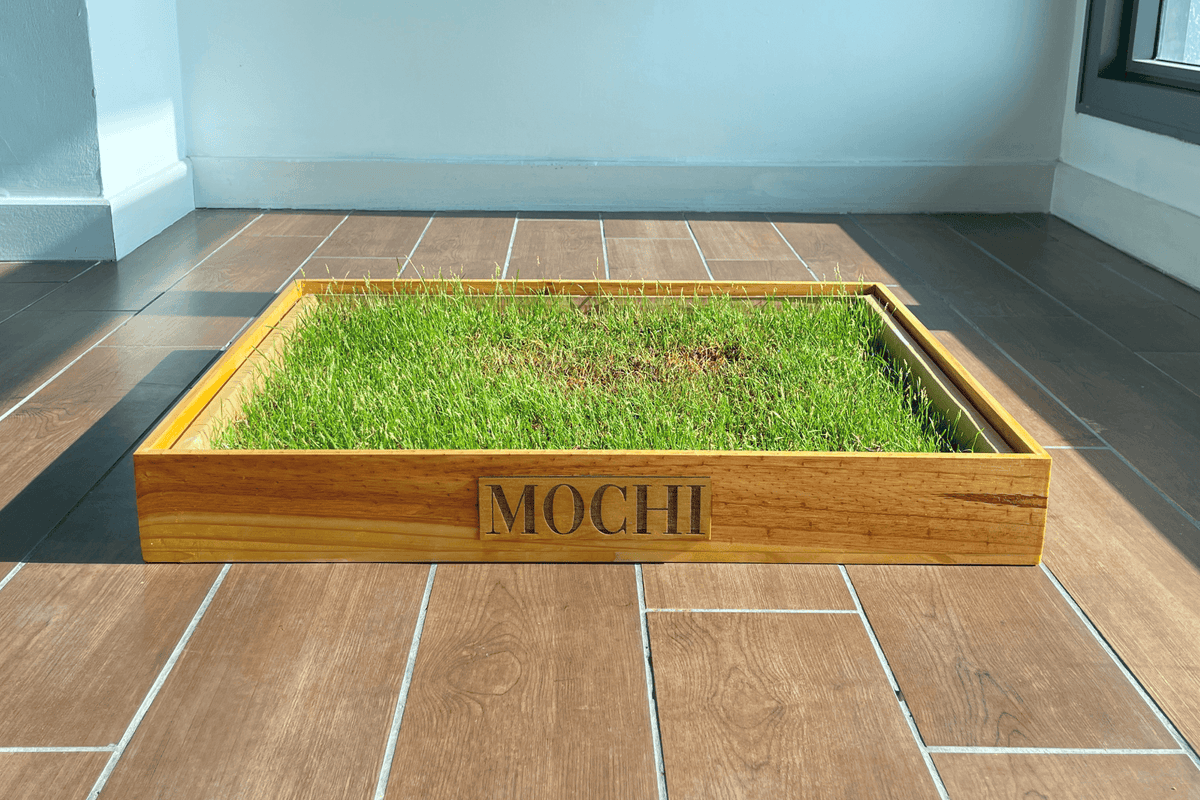 Wooden Frame Box for Potty Grass