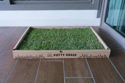Real Grass Pet Patch