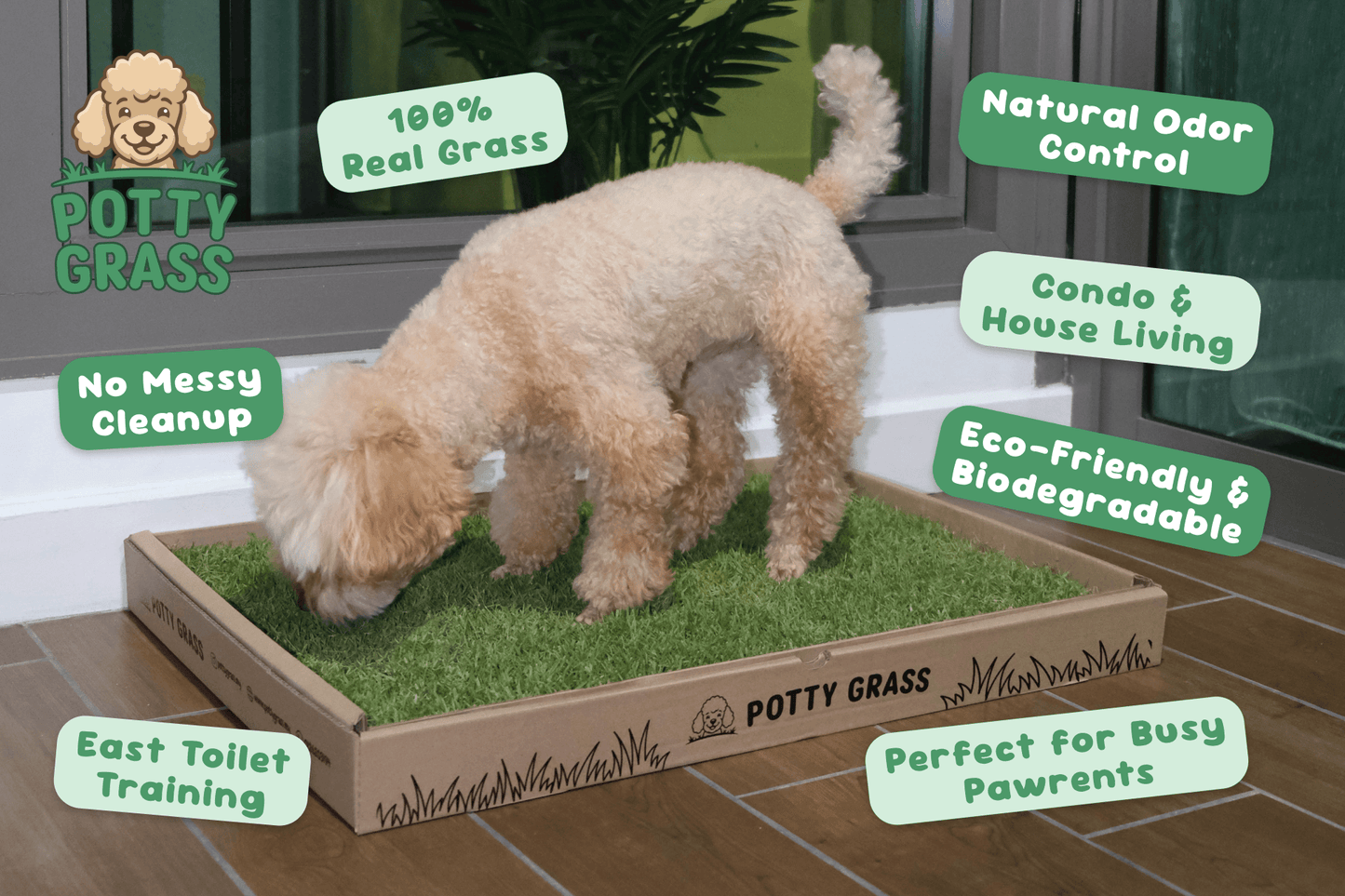 Fresh Potty Grass For Dogs